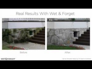 Wet & Forget before and after on stone wall