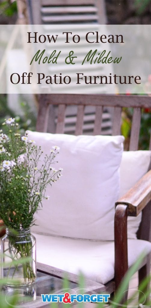 Wet & Outdoor Mildew Remover For Patio Furniture. Life's Dirty