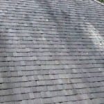 See the 4 Reasons Wet & Forget Outdoor is Your Roof’s Best Friend