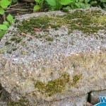 Eliminate Ugly Moss the Easy Way with Wet & Forget Outdoor!