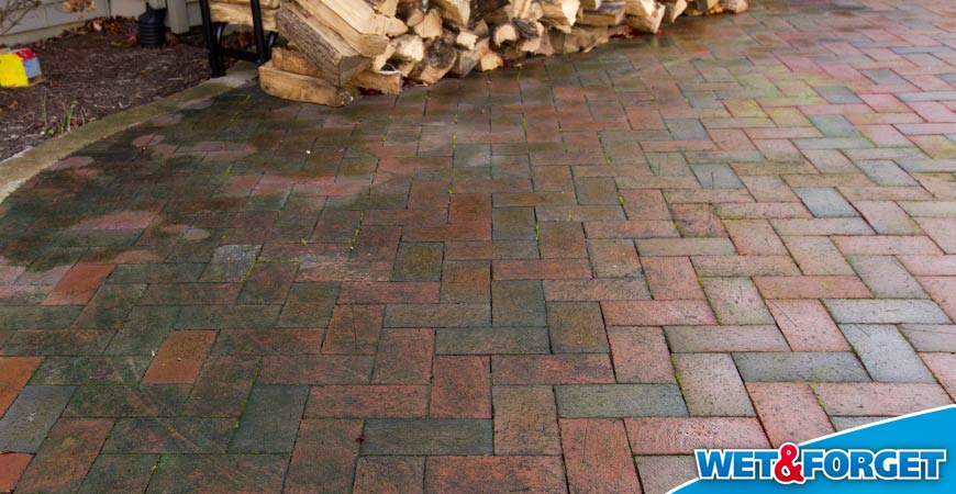 Wet Forget Outdoor Your Ideal Brick Cleaner Life S Dirty Clean Easy - How To Clean Mold Off Patio Pavers