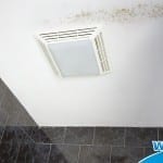 Wet & Forget Indoor Stops Bathroom Mold and Mildew in its Tracks