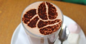hot chocolate recipes