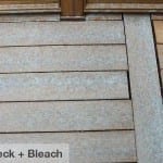 4 Reasons Not to Use Bleach to Remove Your Outdoor Mold