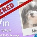 Show us your Adorable Pet and Score some Free Miss Muffet’s Revenge!