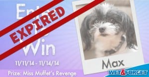 wet forget contest