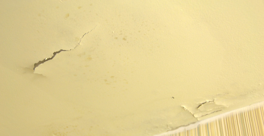 kill mold on ceiling
