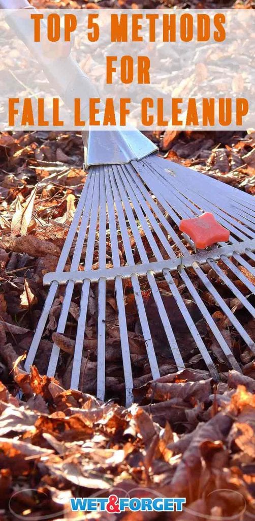 The 5 Easiest Ways to Remove Fall Leaves Life's Dirty. Clean Easy.