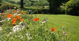 flower bed in lawn