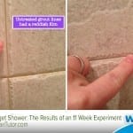 4 Ways Wet & Forget Shower Will Make Your Life Easier
