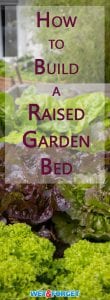 Adding a raised garden bed to your yard can be very beneficial. Not only do raised garden beds have a longer growing season, they also make it easier to optimize your soil composition. Discover how to build your own raised garden bed and enjoy your harvest.