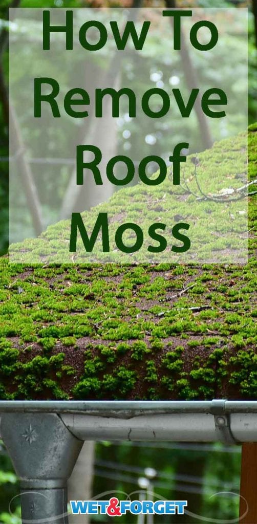 Stop Moss in its Tracks and Save Your Roof with Wet & Outdoor! Life's Dirty. Clean Easy.