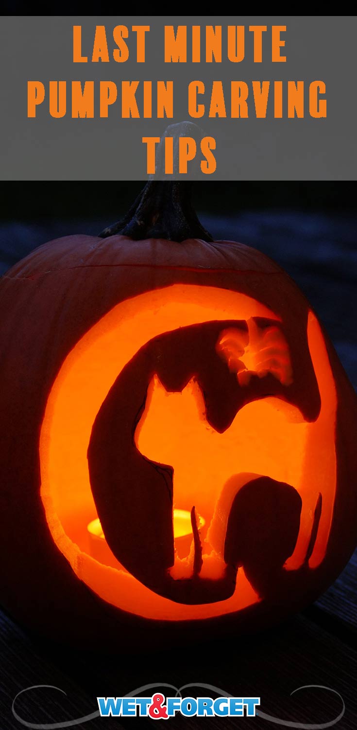 39 Fresh Pumpkin Carving Ideas That Won't Leave You Indifferent - DigsDigs