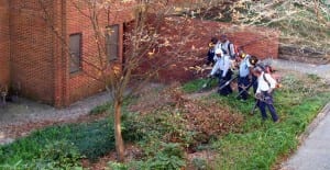 Fall Leaf Removal Tips