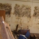 6 Known Health Risks from Indoor Mold Exposure