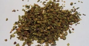 herbs to grow indoors
