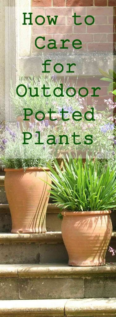 How to Care for Outdoor Potted Plants in the Fall | Life's Dirty. Clean ...