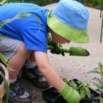 Discover 4 Fun ways to get your Kids Involved in the Garden