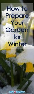 Prepare your garden for the cold winter weather with these 5 steps!