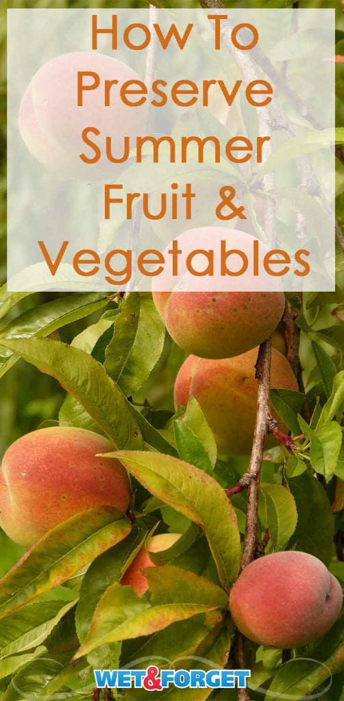 How to Preserve Summer's Flavors, and Enjoy them All Year Life's