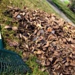 The 4 Target Zones for Your Lawn and Garden Fall Cleanup