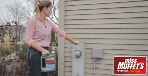 best spider killer