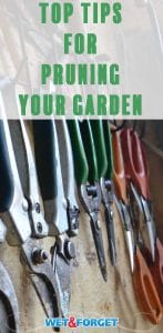 Find out what time to prune your plants and trees with our quick tip list!
