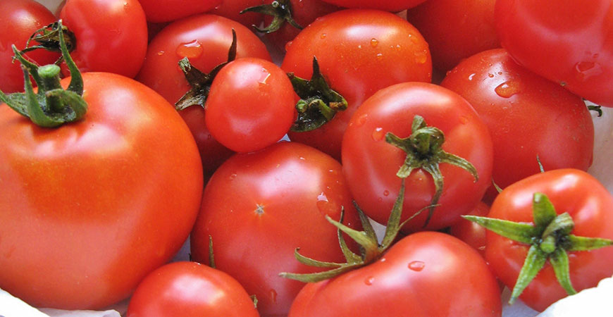 Summer's Flavors Tomatoes