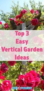 Vertical gardening is a great way to grow many beautiful blooms in a small garden! Check out the top 3 methods to easily start a vertical garden.
