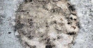 Remove Musty Odor