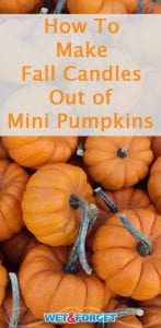 Follow our step by step tutorial to make mini pumpkin cinnamon candles to celebrate the season!