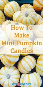 Celebrate fall by making mini cinnamon pumpkin candles with our step-by-step tutorial!