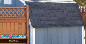 best shingle cleaner
