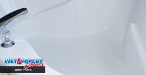 best rated tub cleaner