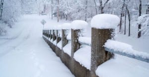 winter deep freeze
