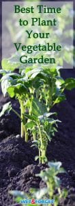 Many vegetables require different weather for planting. Find out when the best time is to plant your favorite vegetables this year!