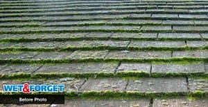 Clean Moss Off Roofs
