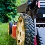 Pick the Best Lawn Mower for a Gorgeous, Stress-Free Lawn