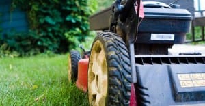 best lawn mower