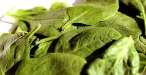 growing spinach