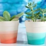 Show your Style with these 5 Uniquely Fun Flower Containers