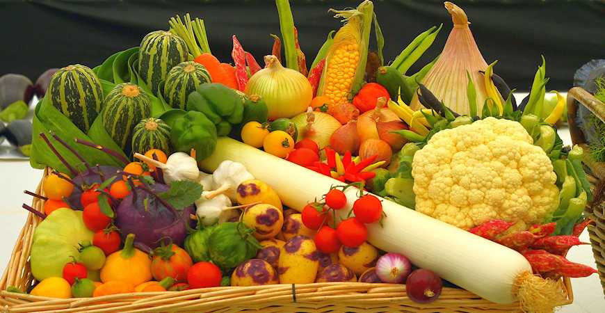 garden vegetable basket