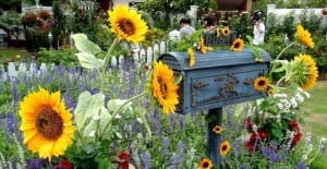 mailbox decorating ideas