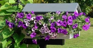 unique mailboxes