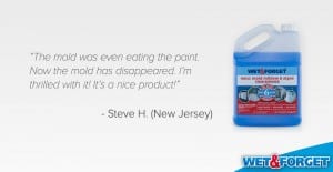 mold remover review