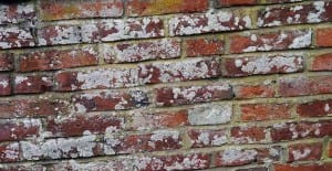 how to clean bricks