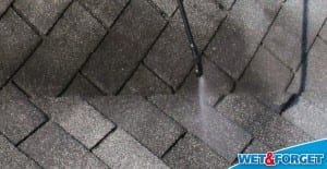 roof cleaner