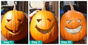 preserve a carved pumpkin