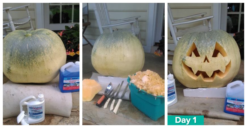 how to preserve pumpkins