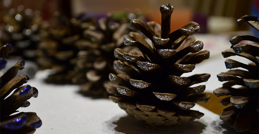 Christmas ornaments - pine cones